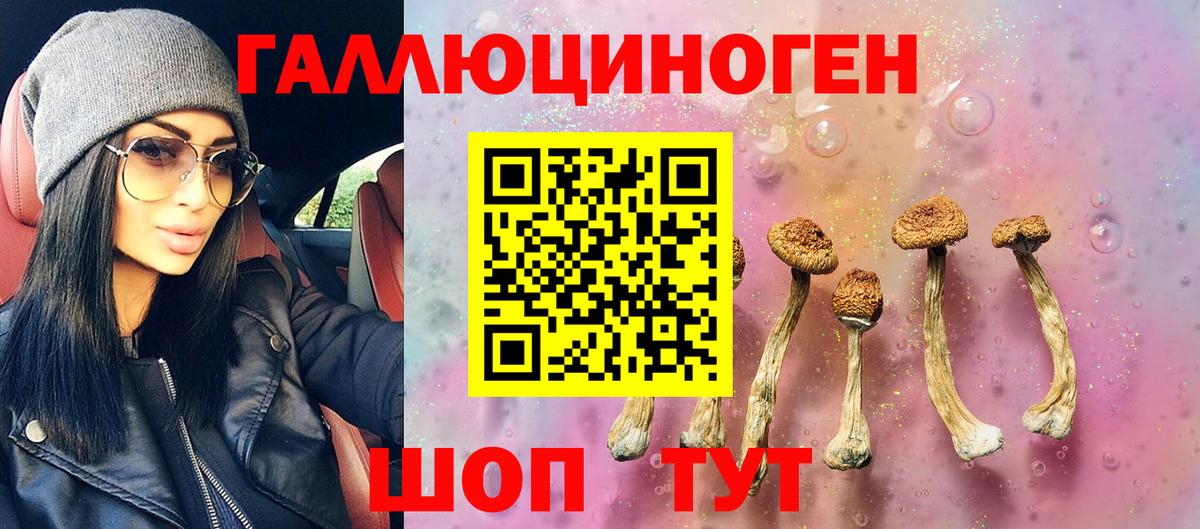 Псилоцибиновые грибы Psilocybine cubensis  Вход с VPN  Галлюциногенные грибы ЛСД  Королёв 